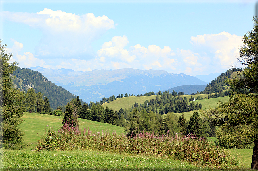 foto Alpe di Siusi